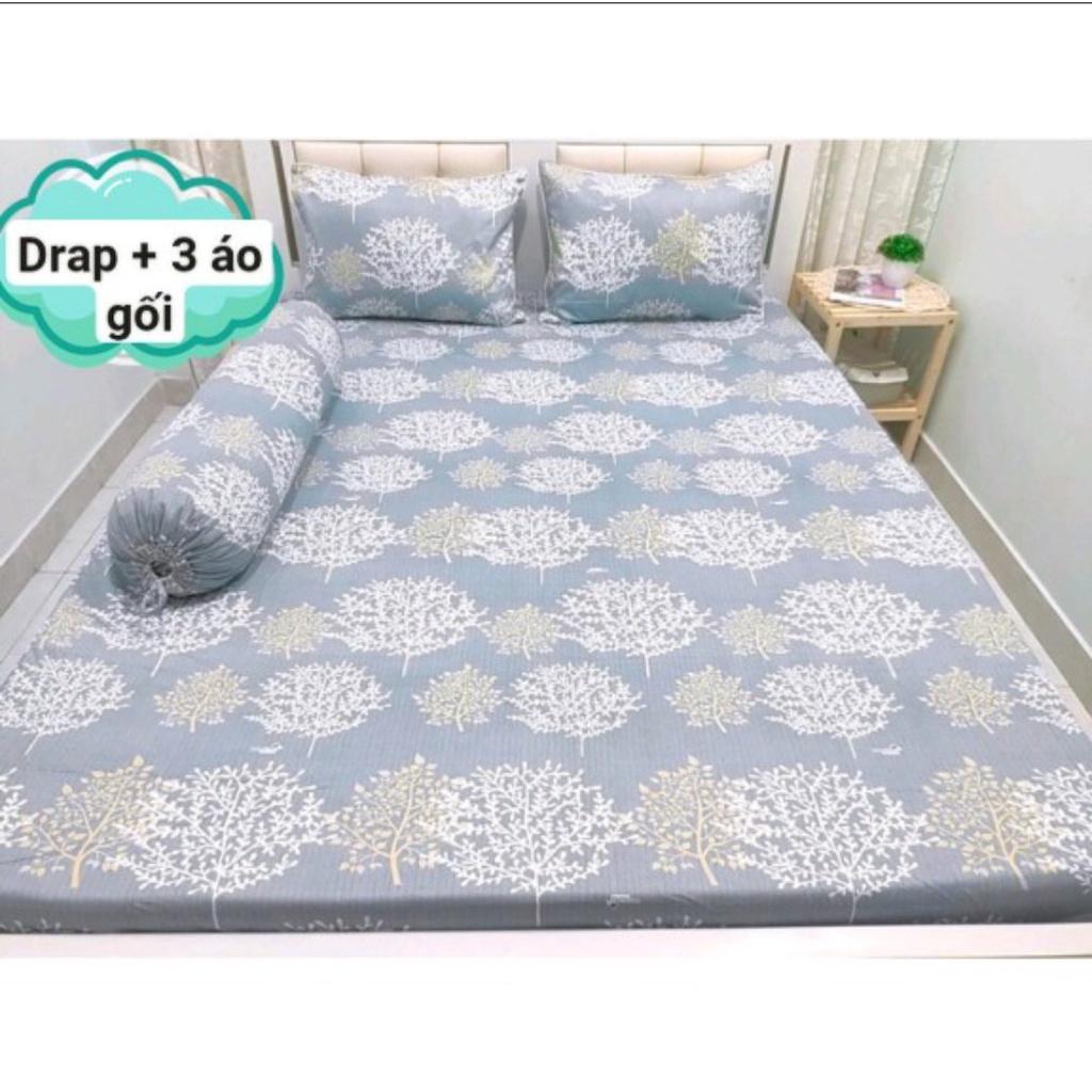 Bộ Drap Cotton THẮNG LỢI {4 món} 1m8x2m { chuẫn logo}hoặc drap lẻ.