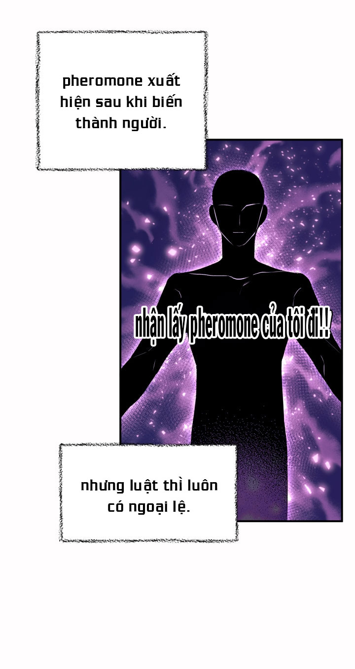 mối liên kết giữa báo đen và bé thỏ chapter 5 34