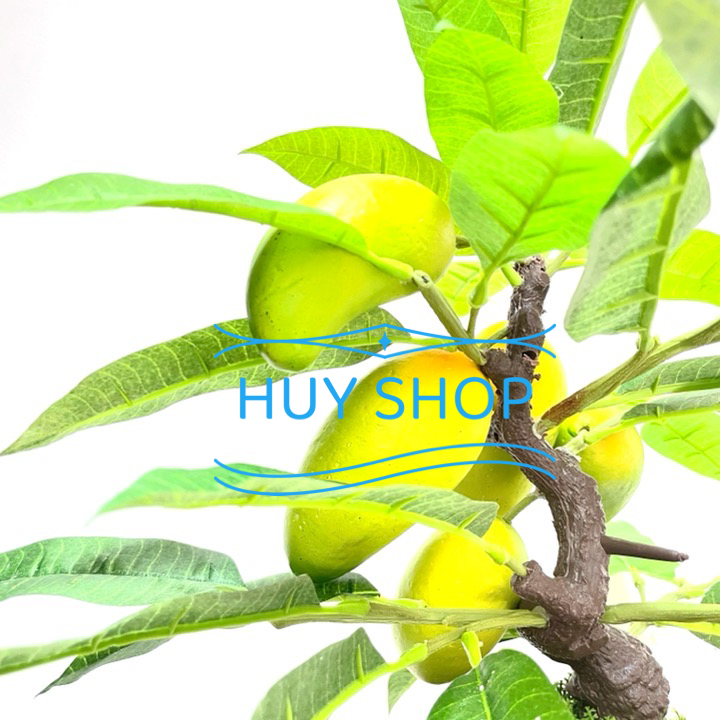 CHẬU CÂY TRÁI XOÀI NHÂN TẠO SỐ 4 TRANG TRÍ NHÀ CỬA
