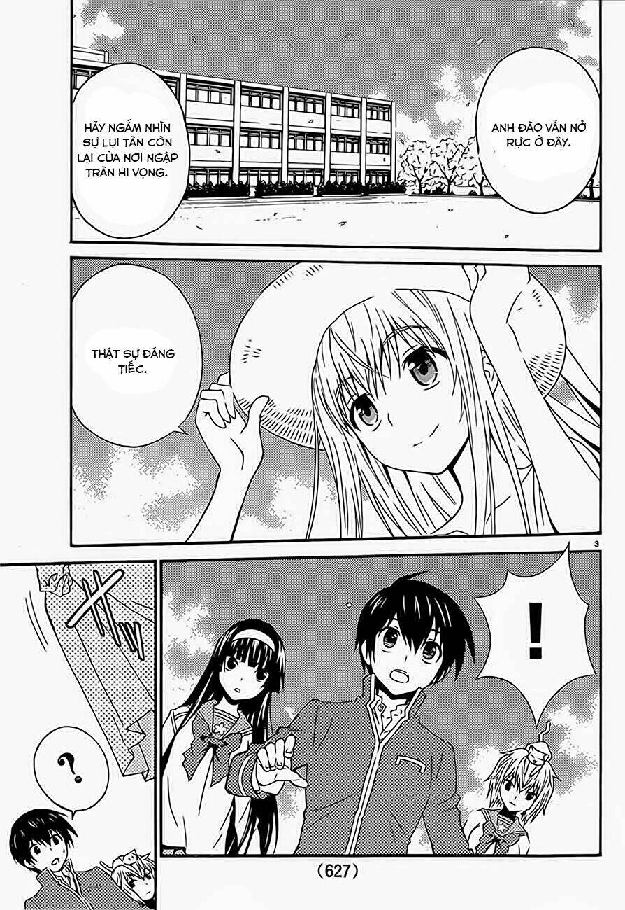 sakura morishige chapter 13 4