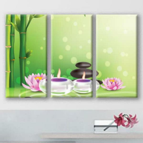 Bộ 3 Tranh Canvas Viền Composite Trang Trí Spa Đẹp Và Độc Đáo W043