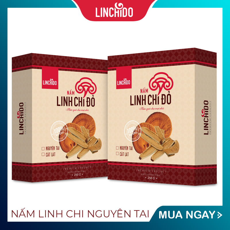 COMBO 2 HỘP NẤM LINH CHI NGUYÊN TAI 250 GRAM