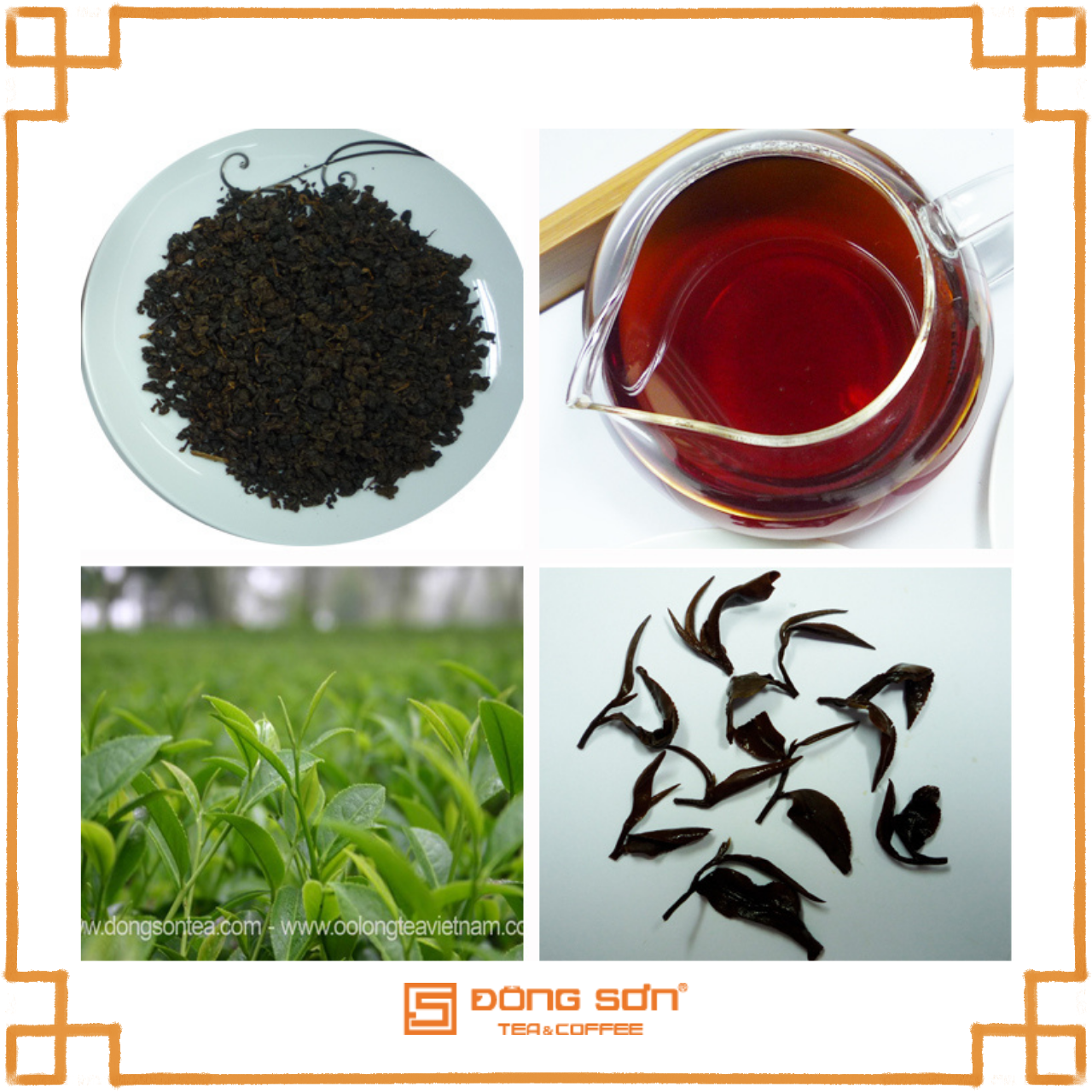 Trà Olong Đen (Olong Black Tea)