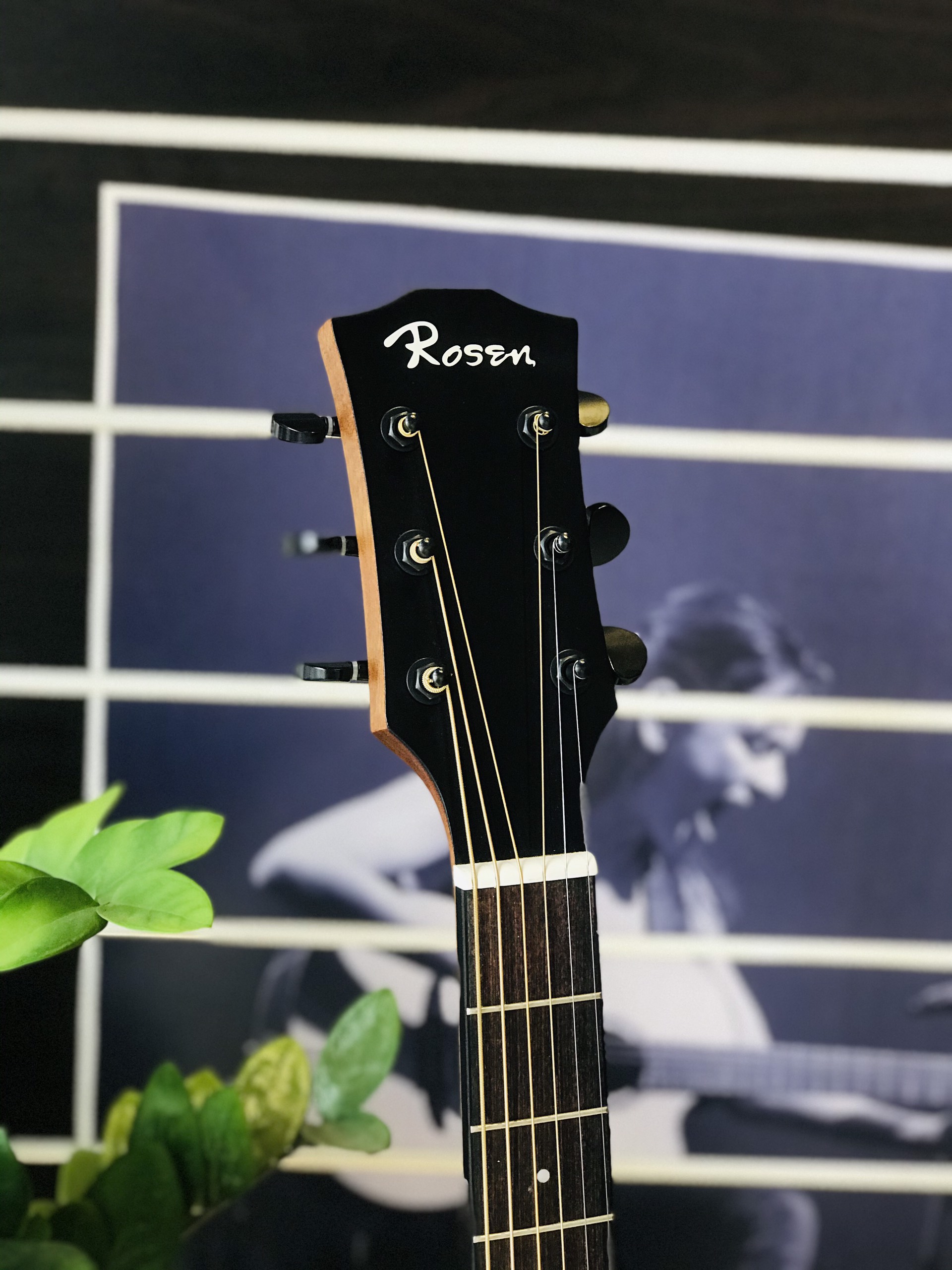 Đàn Guitar Acoustic Rosen G15