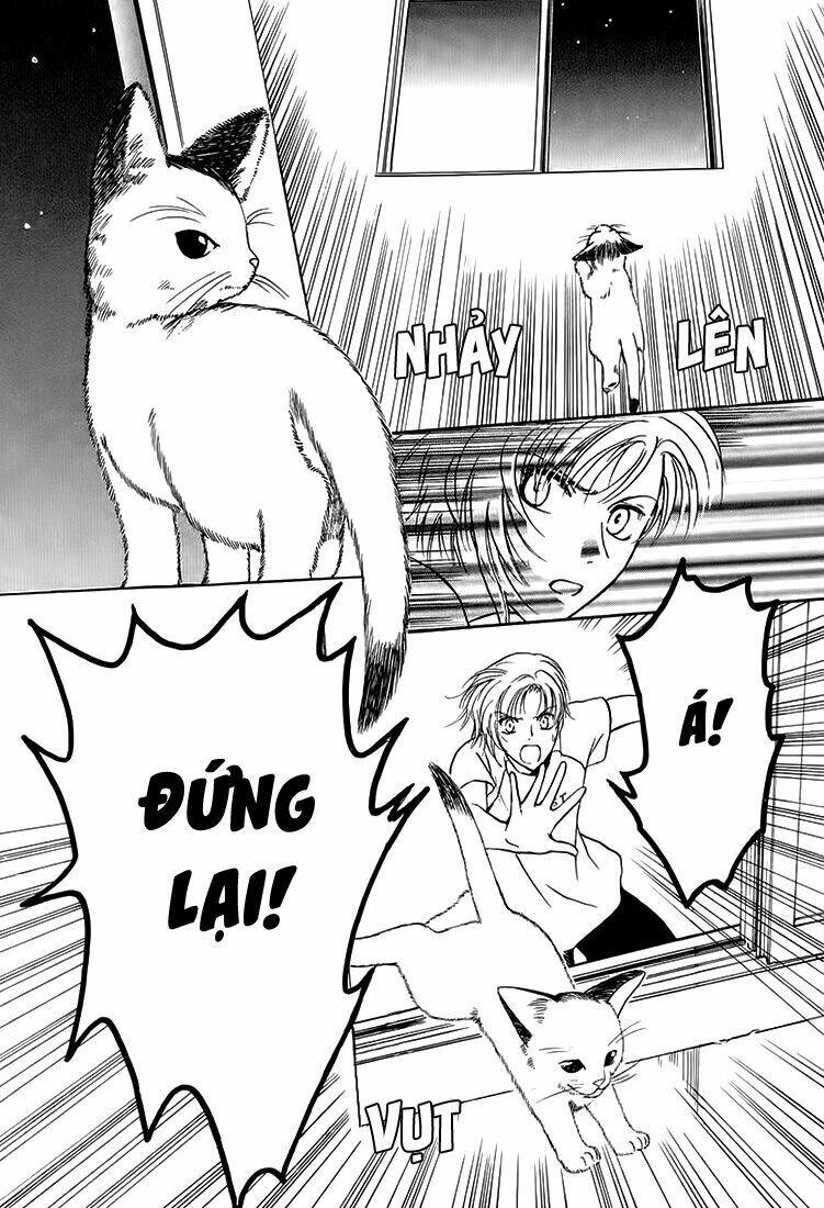 gohou drug chapter 6 35