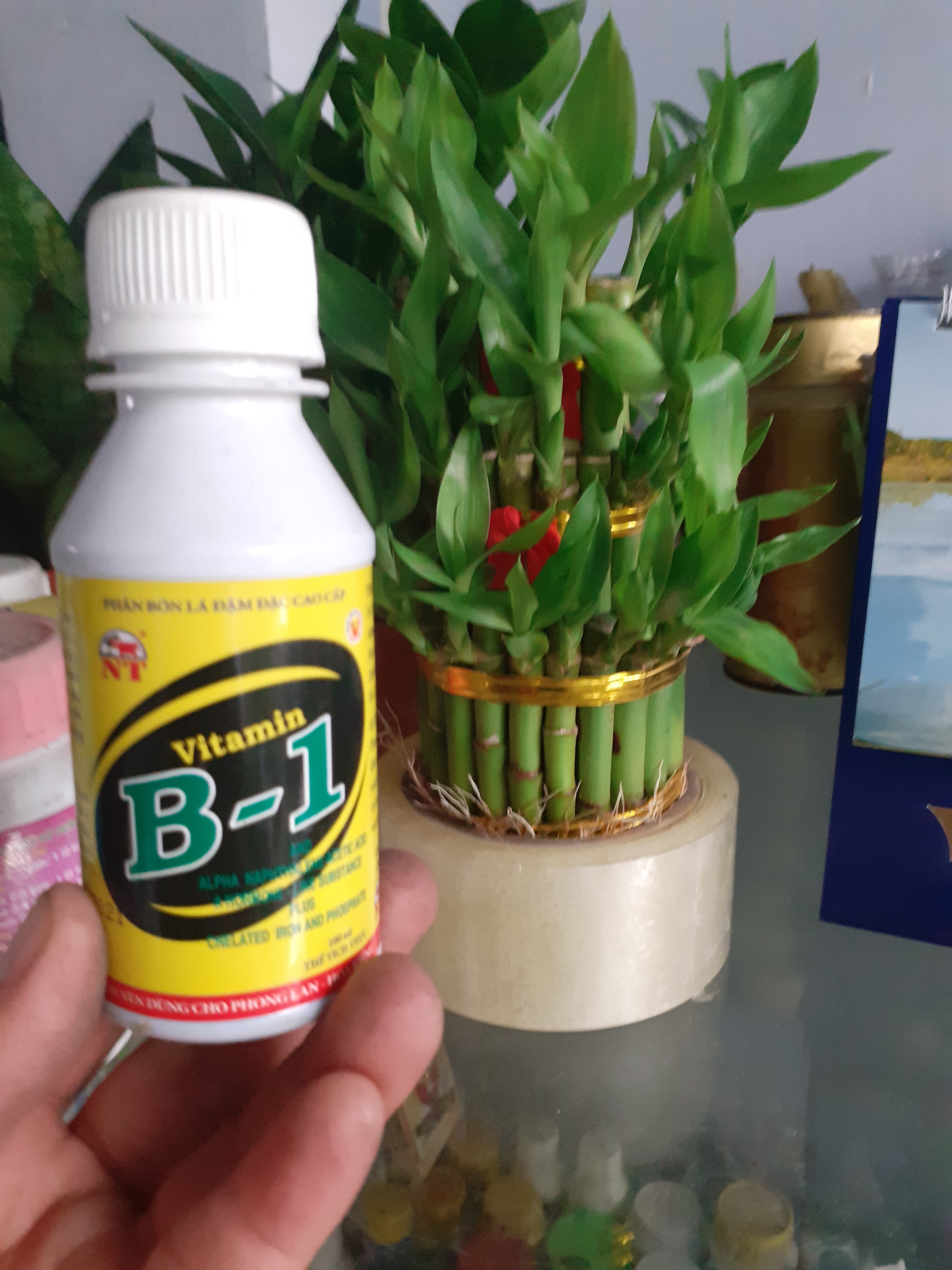 Chai 100ml ra rễ cực mạnh vitamin B1.