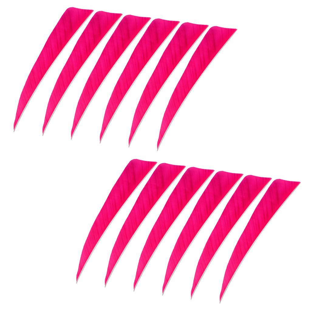 2-6pack 12 Pieces 4 Inch Archery Arrow Feathers Fletchings Vanes Rose Red