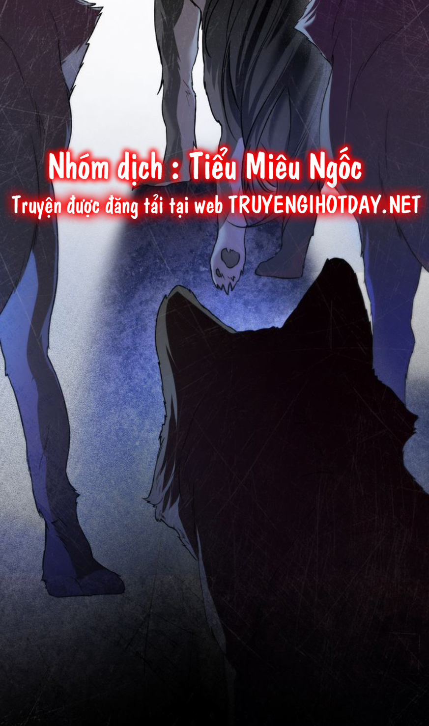 chàng người sói phát điên vì tôi chapter 43 17