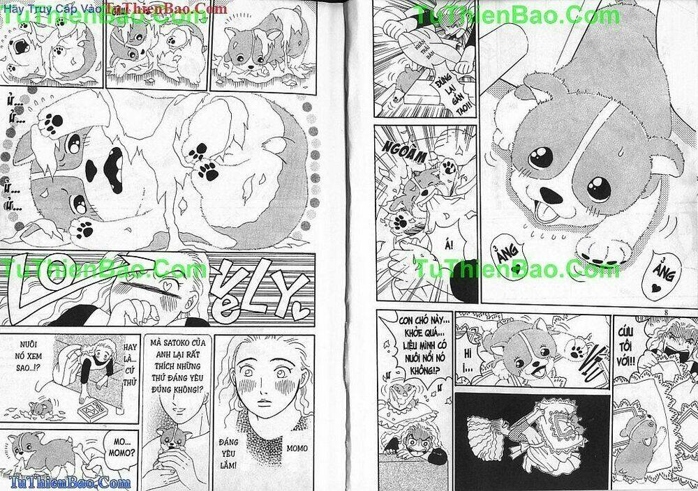 chó con mo mo chapter 1 5