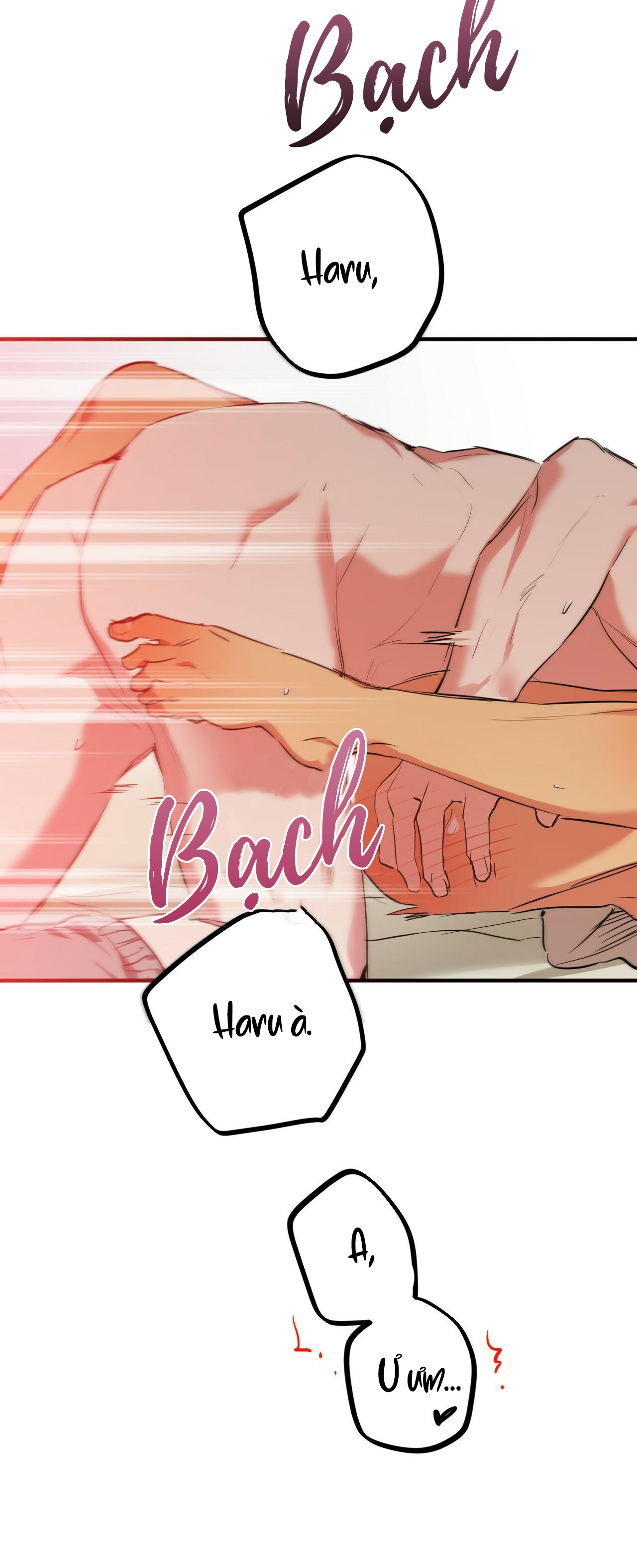 những chú thỏ của hapypy chapter 38 59