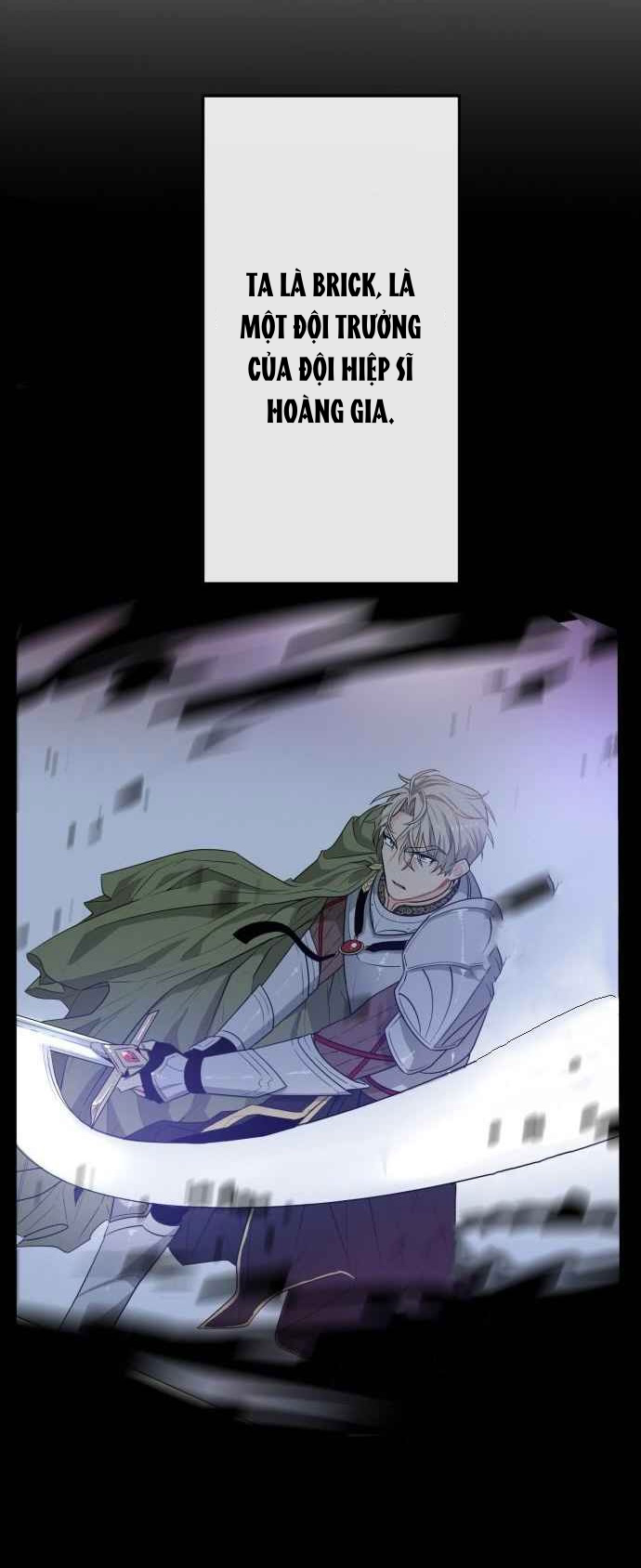 ngài kỵ sĩ, xin hãy cứu tôi! chapter 2 43