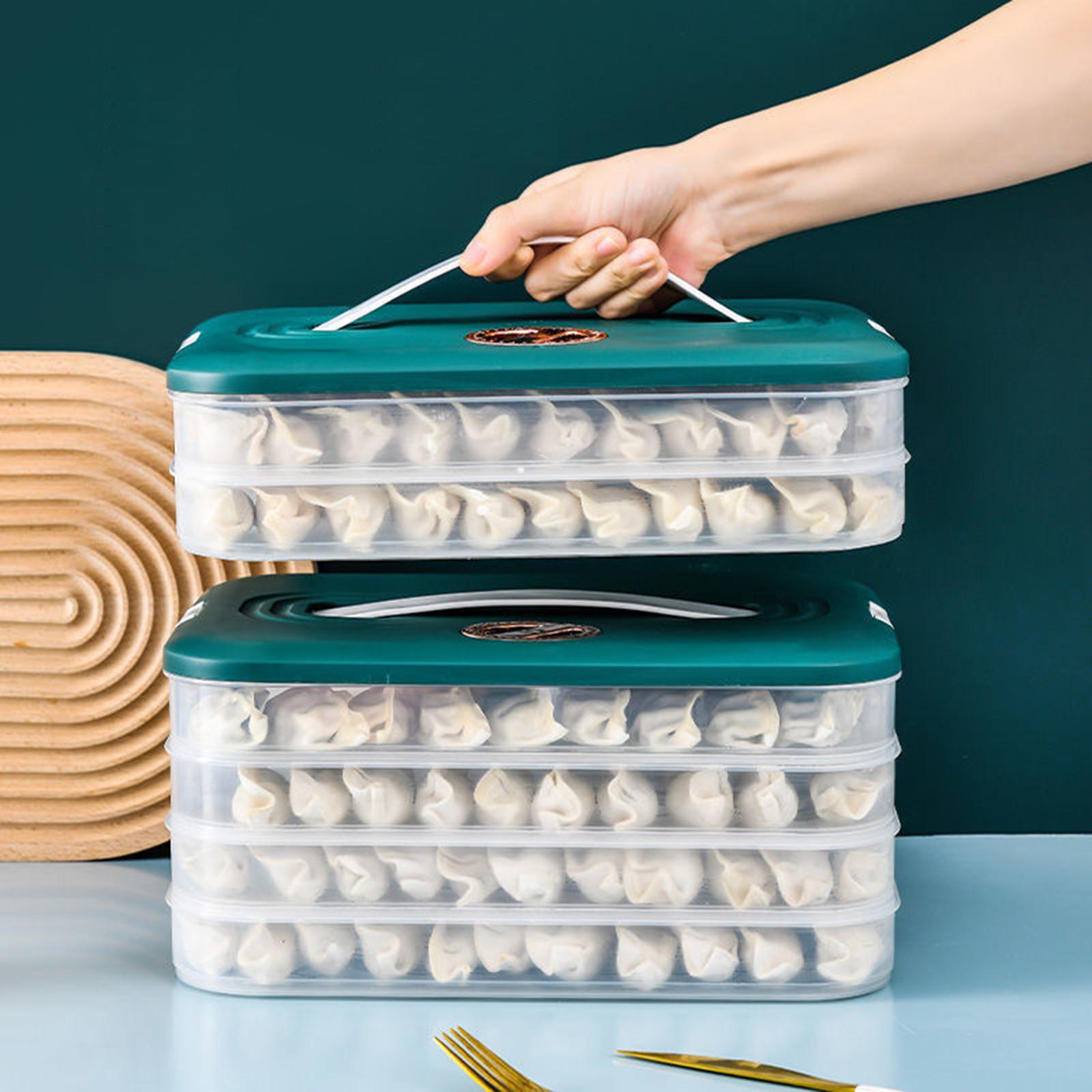 Large Dumpling Storage Container Food Containers Leakproof Box Crisper for Eggs Meat