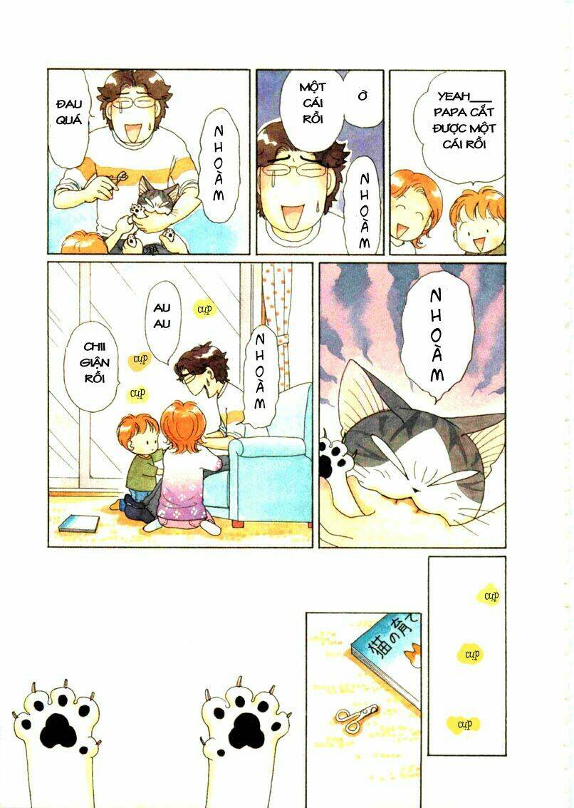 chi's sweet home chapter 67 8