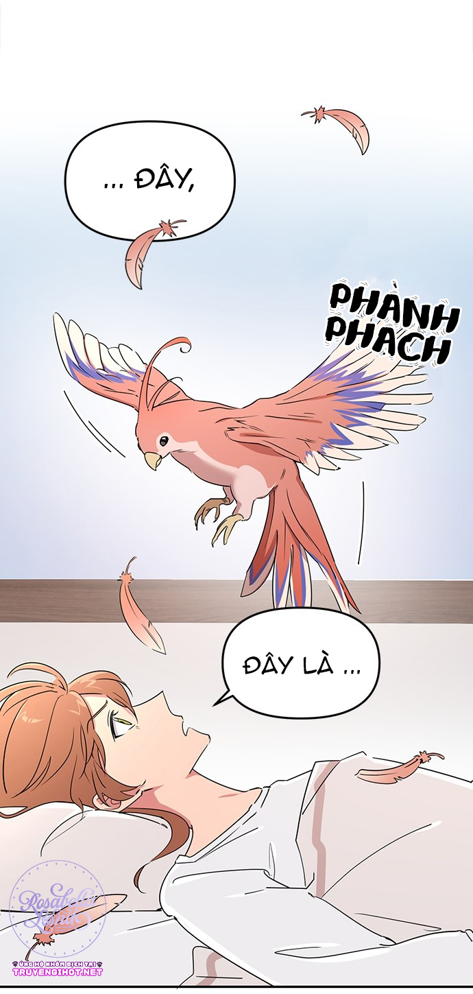 căn hộ kí túc xá của pháp sư chapter 5 51