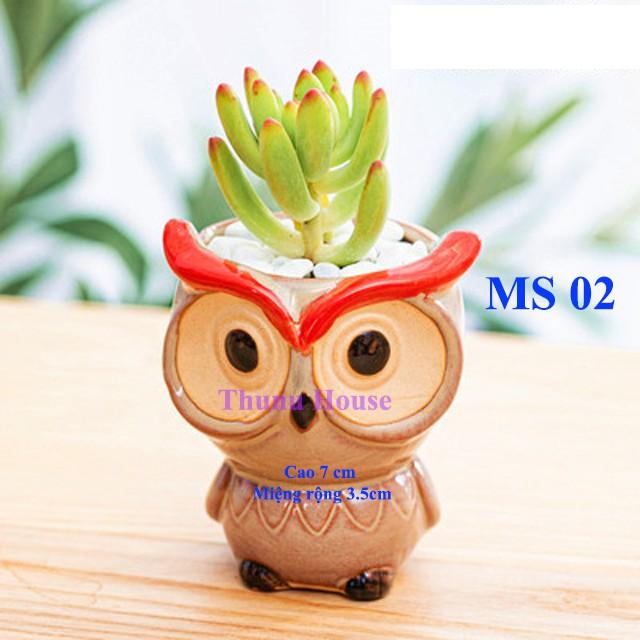 Chậu Cú mèo mini bằng sứ