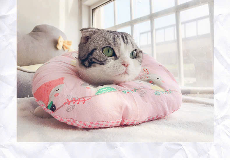 VÒNG CỔ THÚ CƯNG VÒNG CỔ LOA CHỐNG LIẾM CHO THỎ CHÓ MÈO TỪ 0.1-8KG CHO CHÓ MÈO THỎ