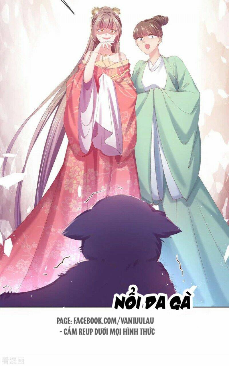 thị huyết y phi chapter 81 21