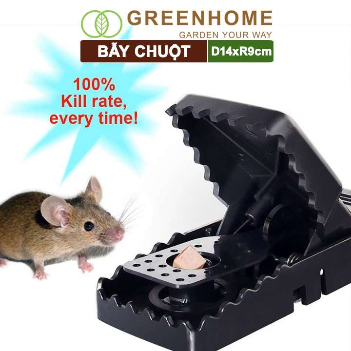 Bẫy Chuột Thông Minh Greenhome, D14xr9cm, Lò Xo Độ Nhạy Cao, Lực Gấp Mạnh, Dễ Dùng, Hiệu Quả Cao, Tái Sử Dụng Nhiều Lần