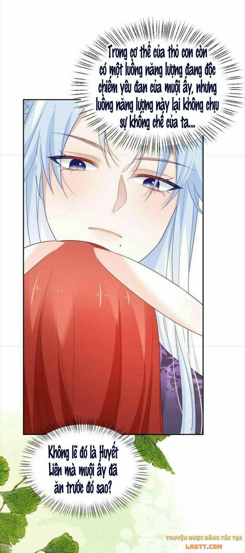 hắc hóa nam chính trực tuyến nuôi thỏ chapter 60 26