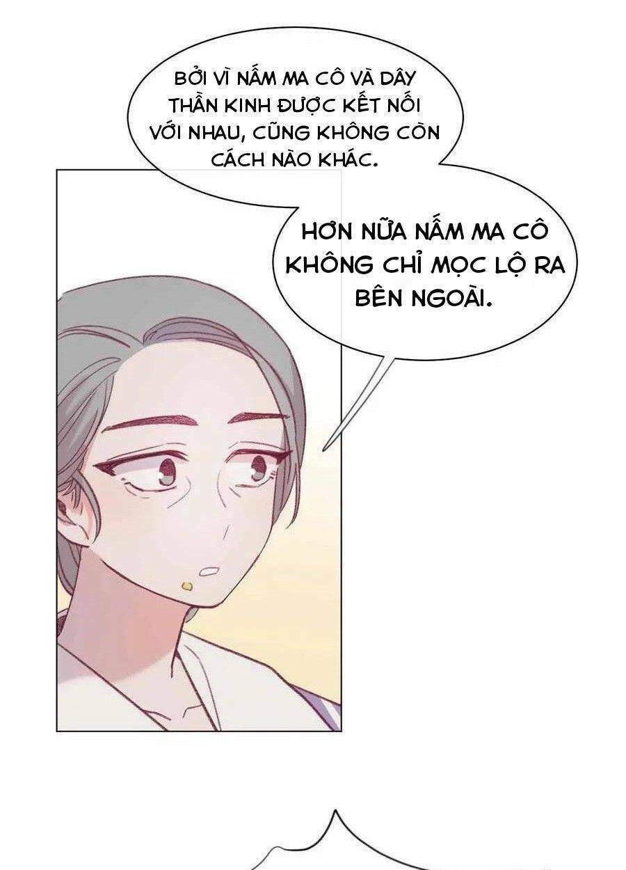 nhật ký nấm ma cô chapter 23 7