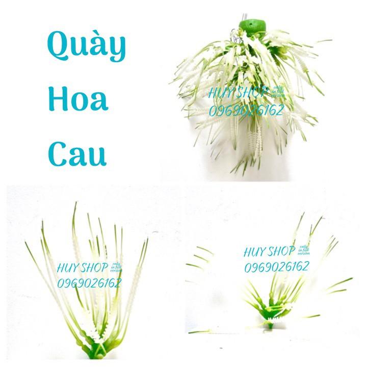 COMBO DÂY TRẦU QUÀY HOA - TRÁI CAU