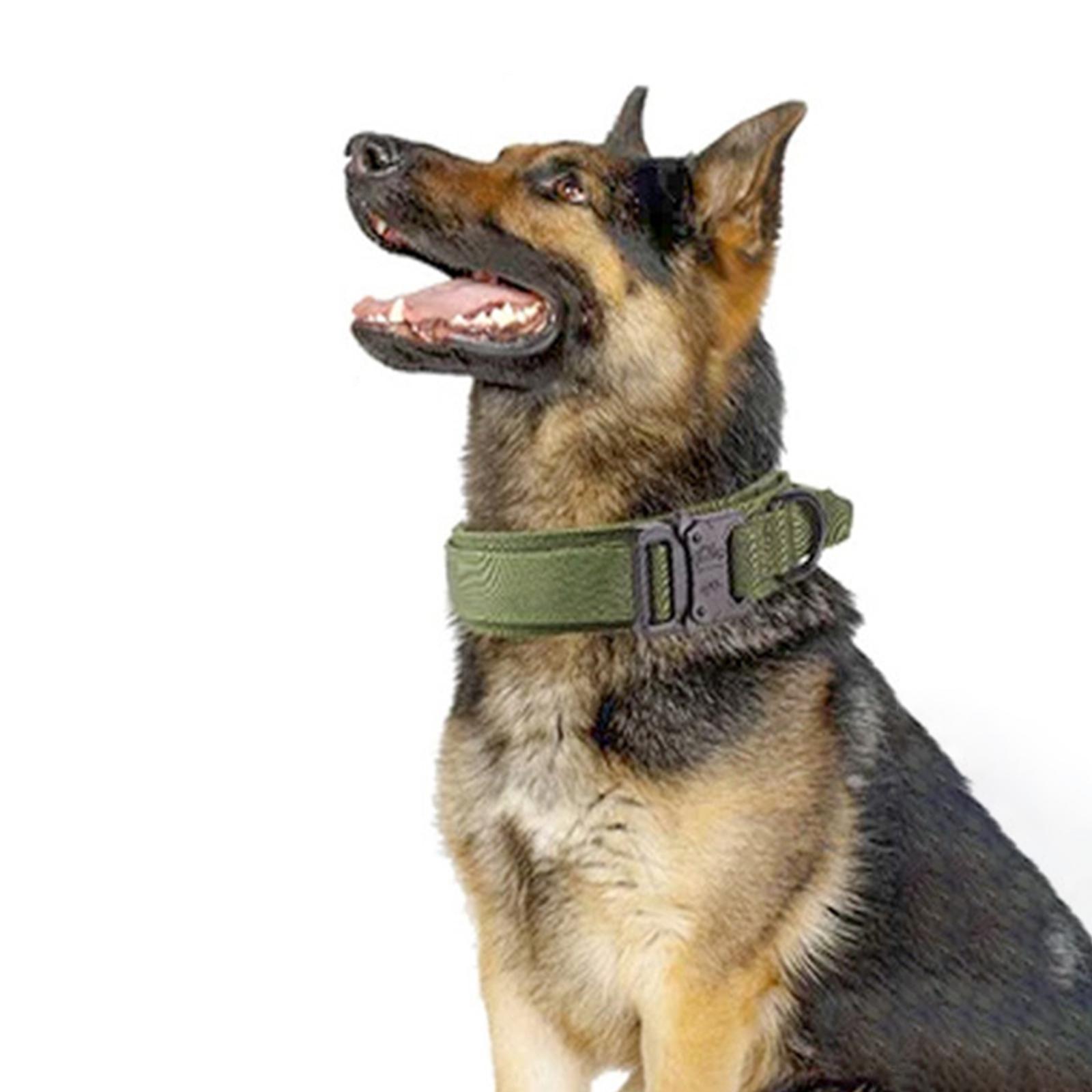 And Leash Set with Handle w/ Metal Buckle Adjustable