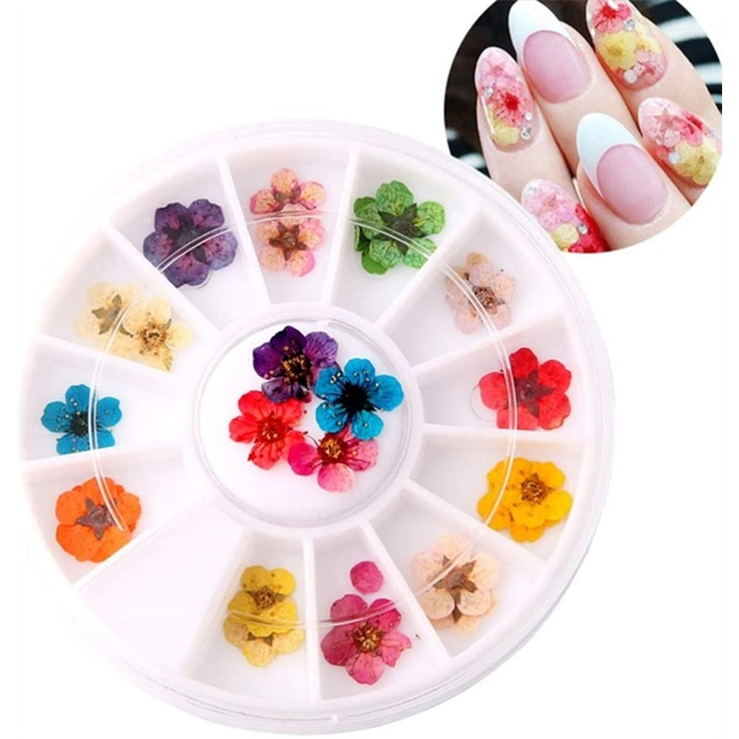 Set Hoa Khô 5 Cánh Trang Trí Nail 12 Màu Đa Dạng Chuyên Gắn Trang Trí Móng, Hình Dáng kích thước khác nhau, Đính Được Chắc Chắn Lên Móng, Có Thể Phối Nhiều Phong Cách Ý Tưởng Khác Nhau Phù Hợp Trang Phục, Sự Kiện