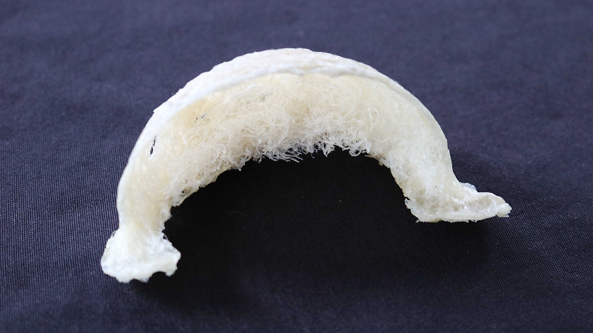 Tổ Yến Rút Lông Mẫu 1 - 50gram