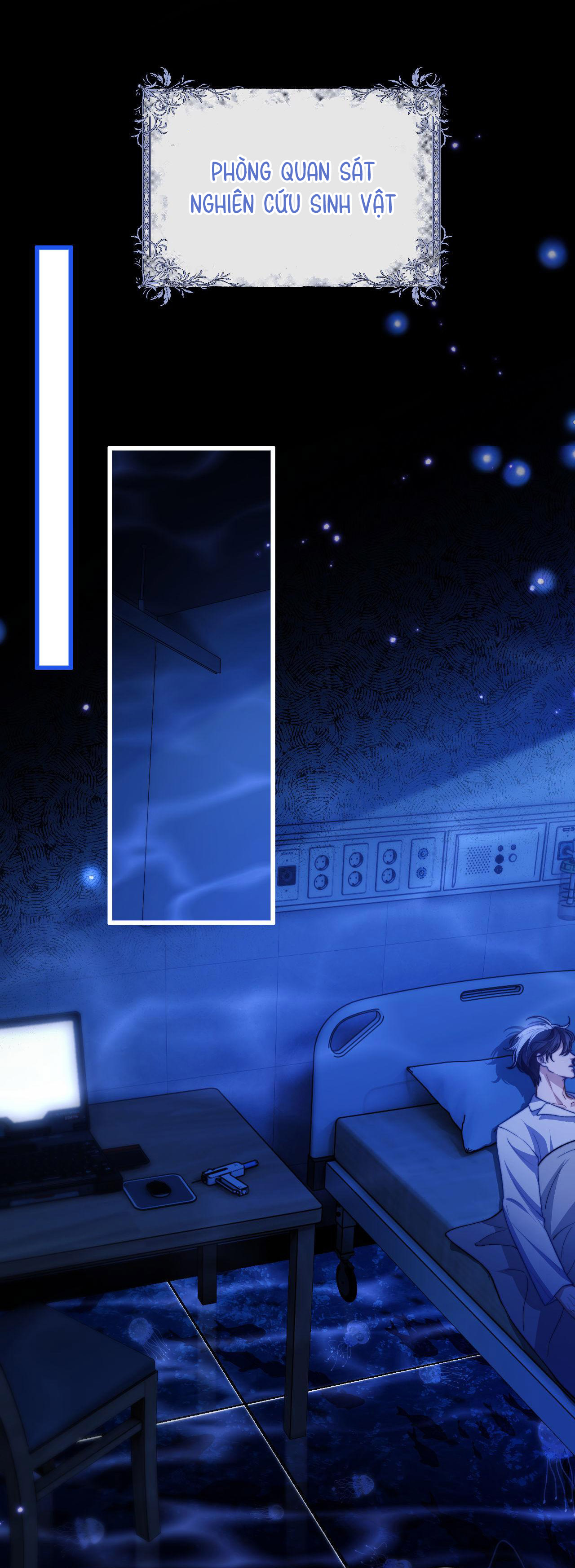 nhân ngư dessaro chapter 13 9