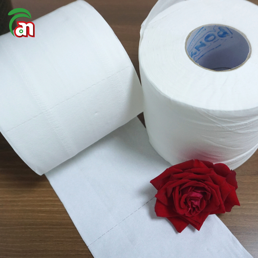 Combo 5 lốc Giấy vệ sinh cuộn nhỏ có lõi siêu dày và mịn PONYO 3 lớp cao cấp, 06 cuộn/lốc - Thiên An Nam paper