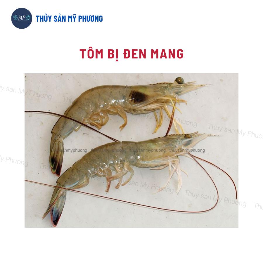 Sát khuẩn diệt nấm ghẻ đốm trắng đỏ chân sạch đen mang đóng rong khói đèn Enviprotec Bkc tôm thẻ cá lươn ếch ốc ba ba