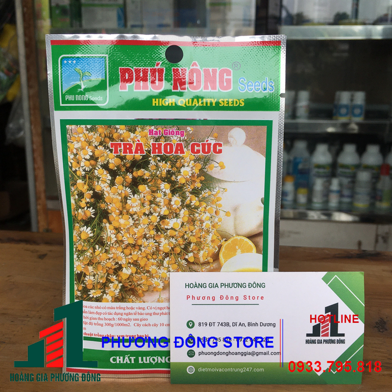 Combo 5-10 gói hạt giống Trà Hoa Cúc sinh trưởng mạnh, kháng bệnh tốt
