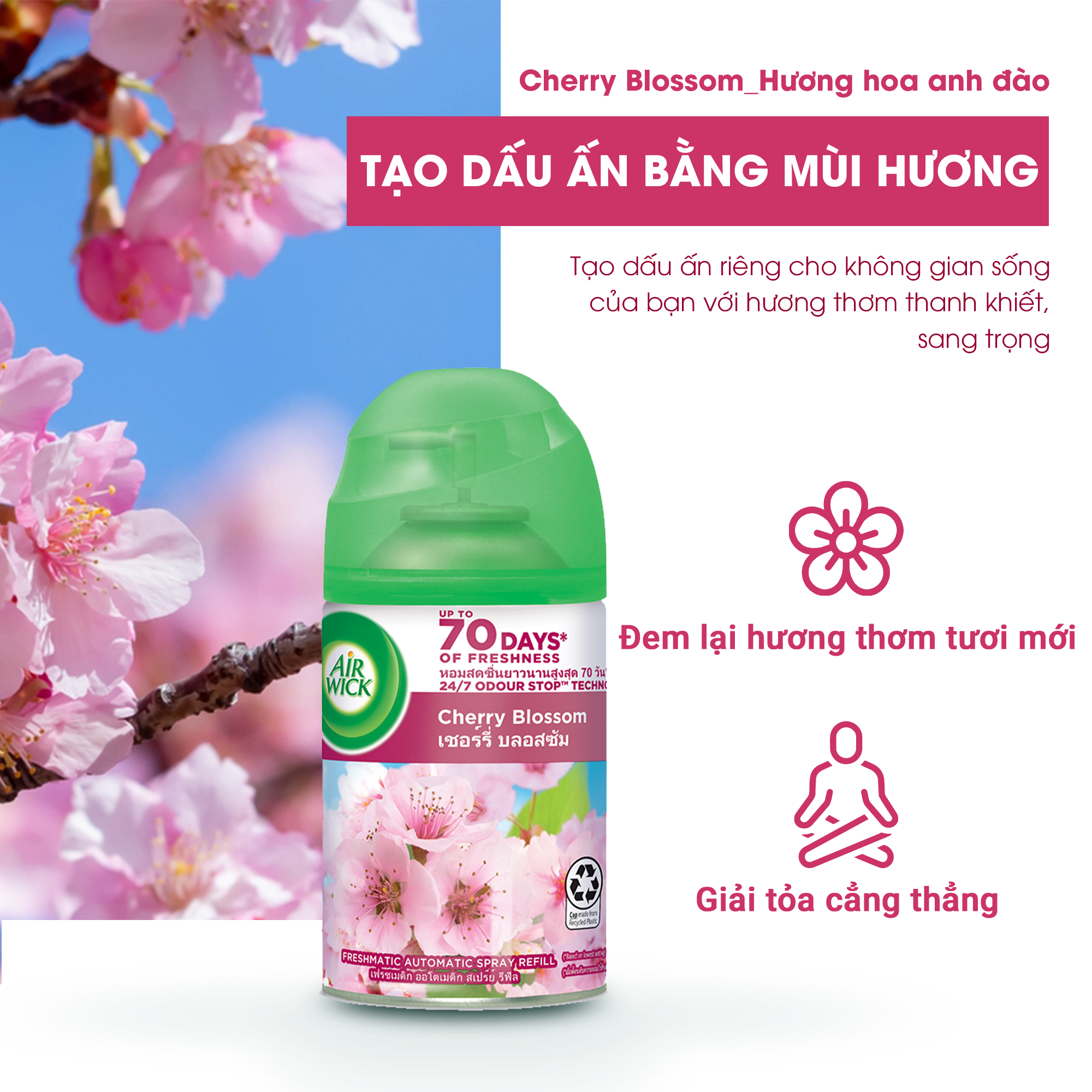 Lõi máy xịt phòng tự động Air Wick, hương Hoa Anh Đào ngọt ngào và khử mùi nhanh chóng, 250ml