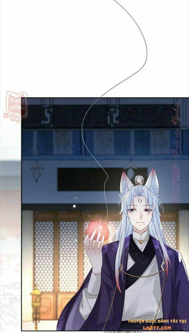 hắc hóa nam chính trực tuyến nuôi thỏ chapter 56 34