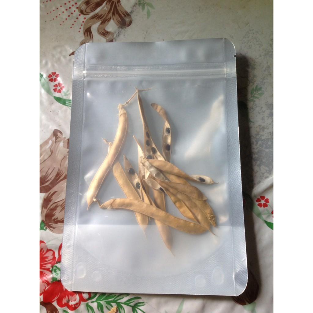 Hạt Giống Hoa Đậu Biếc