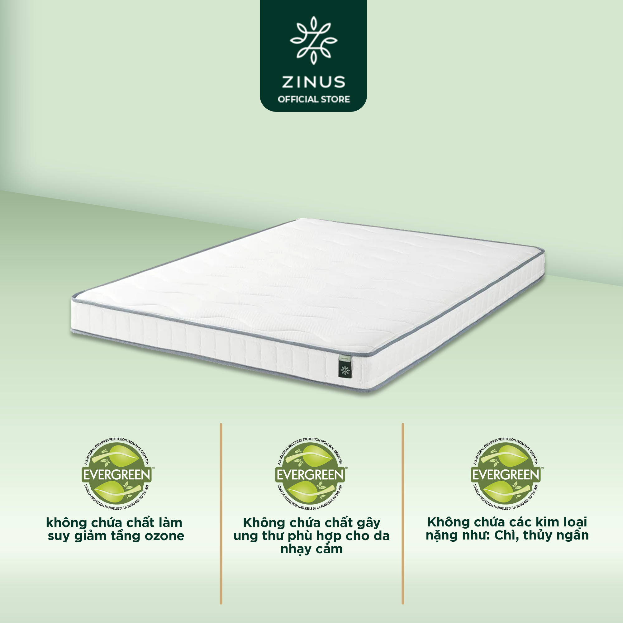 Nệm Lò Xo Cao Su Liên Kết Zinus 18cm Bonnel Mattress