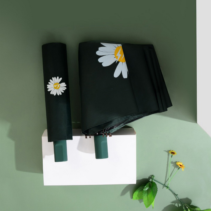 Dù xếp hoa cúc daisy Hàn Quốc màu đen