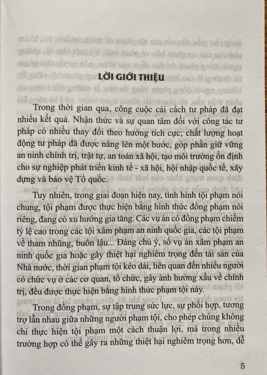 Đồng Phạm Trong Luật Hình Sự Việt Nam