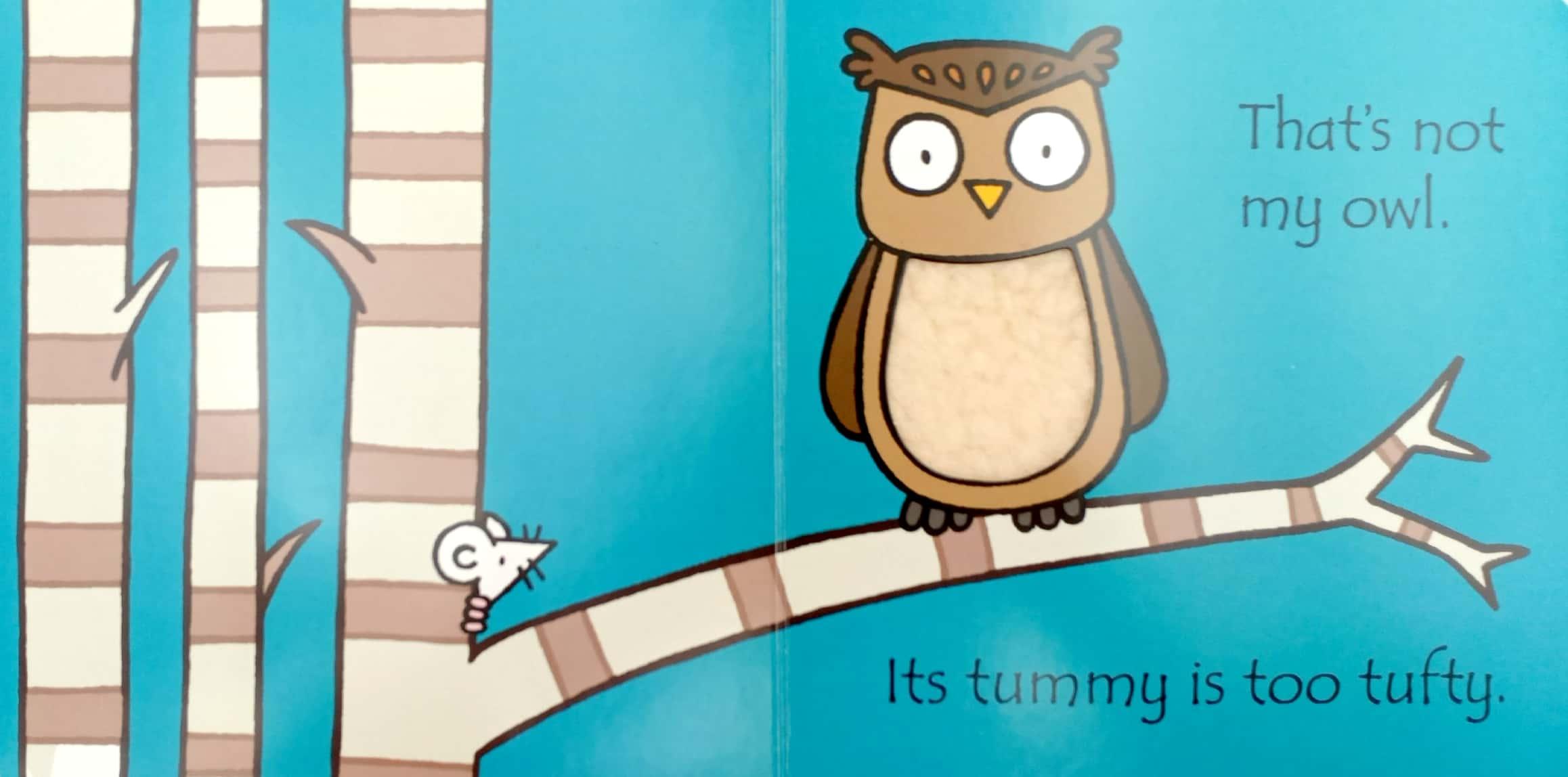 Usborne That's not my owl