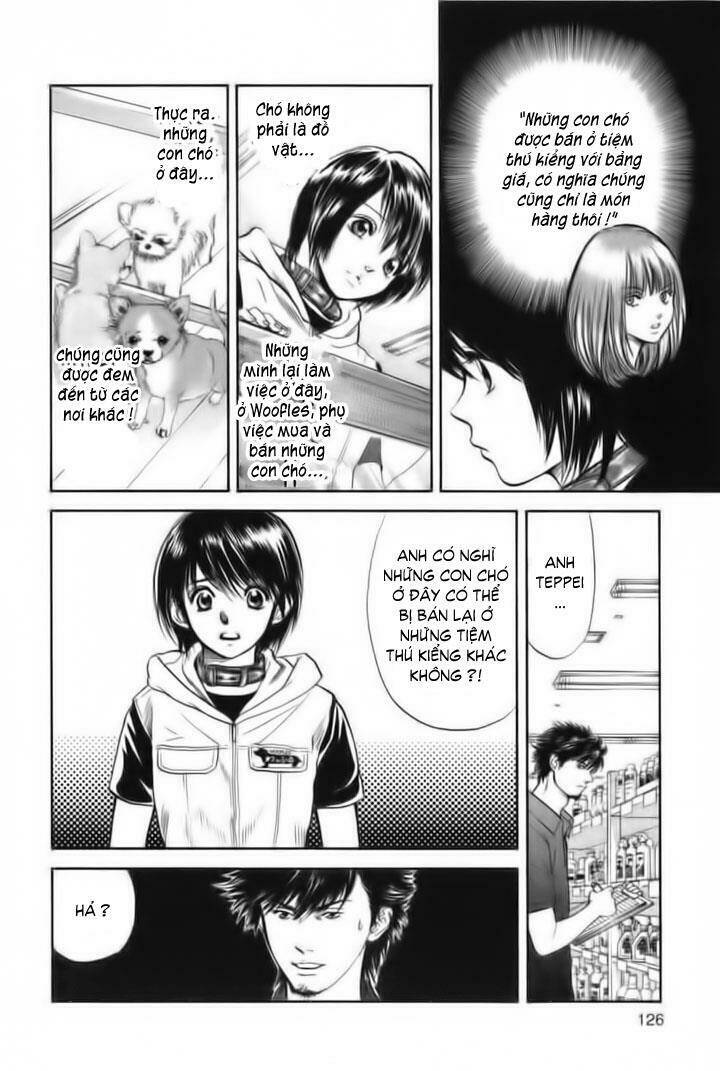 cô nàng yêu chó chapter 26 12