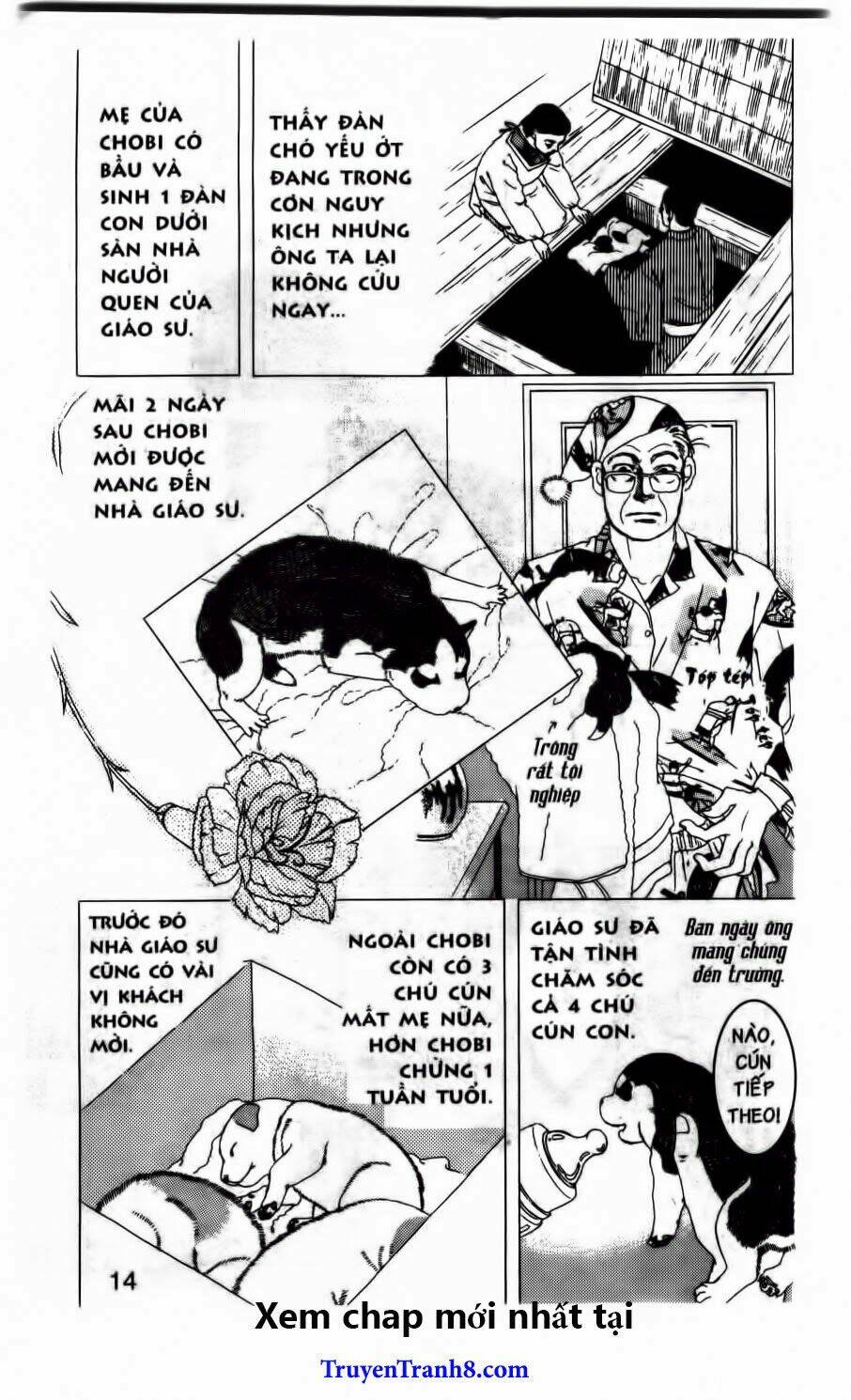 bác sĩ thú y chapter 72 9