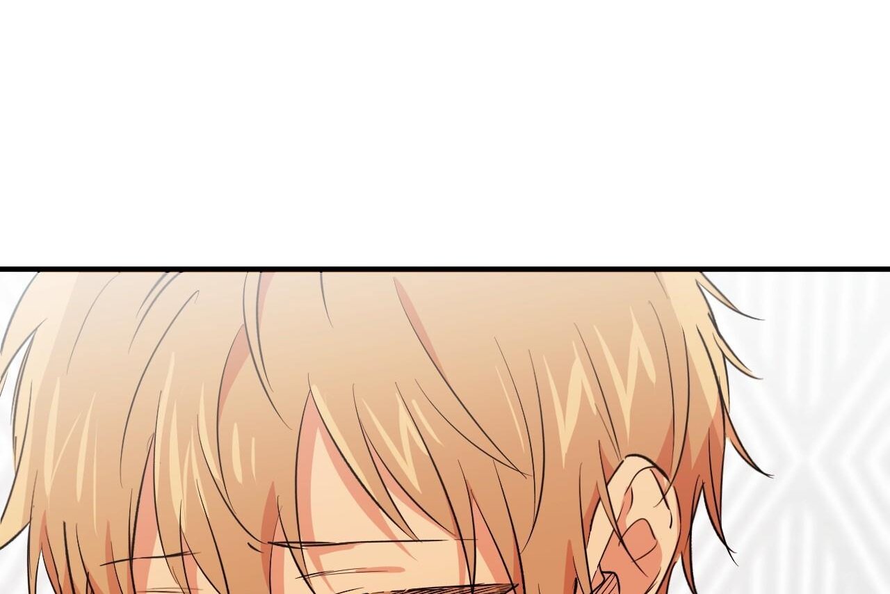 những chú thỏ của hapypy chapter 61 62