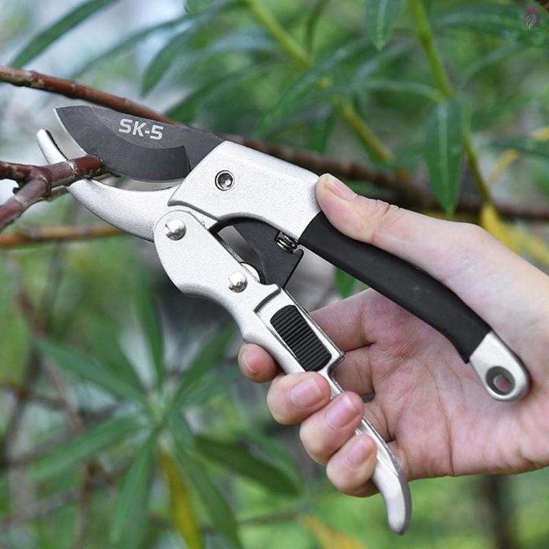 KÉO CẮT TỈA CÂY CẢNH NHẬP KHẨU - HỢP KIM SK5