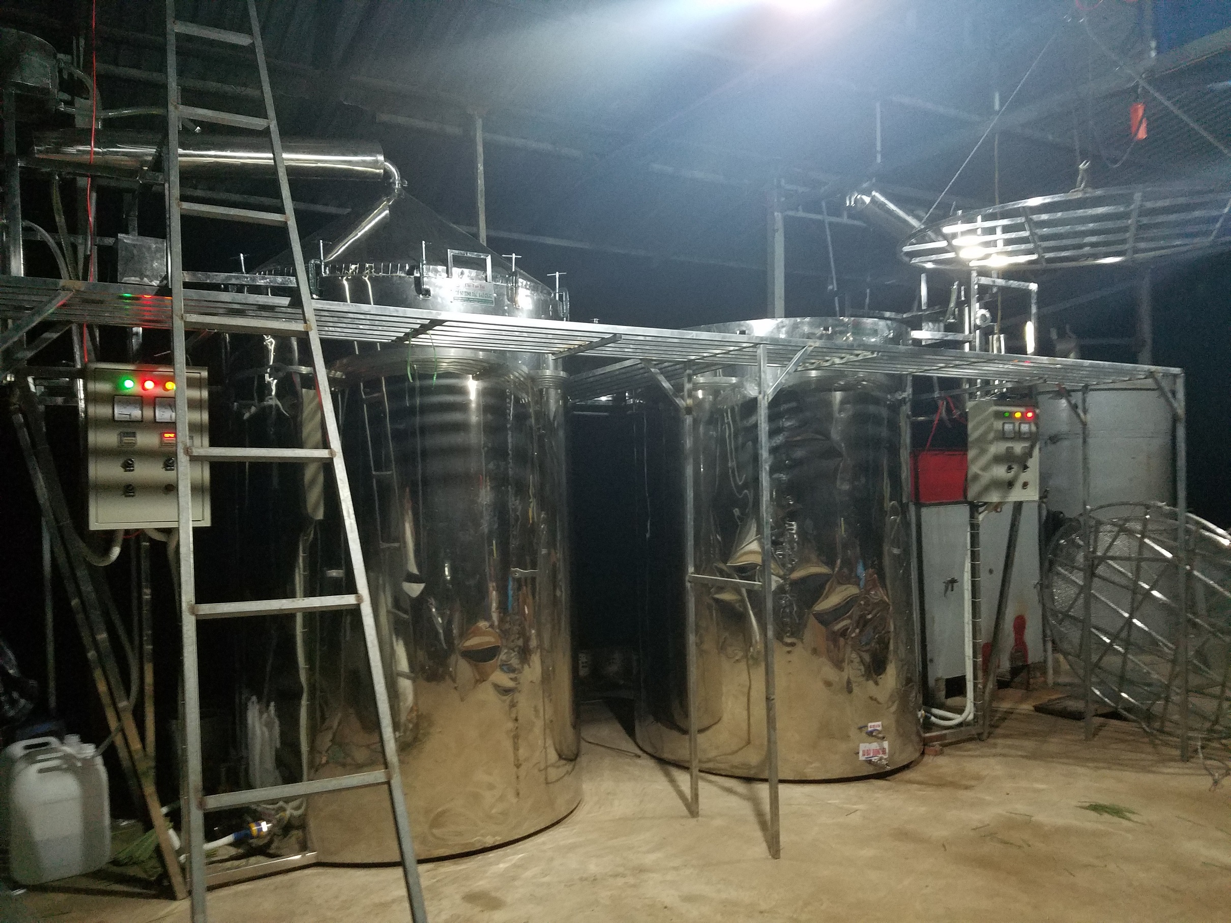 Tinh dầu Gừng nguyên chất từ thiên nhiên Mộc Mây
