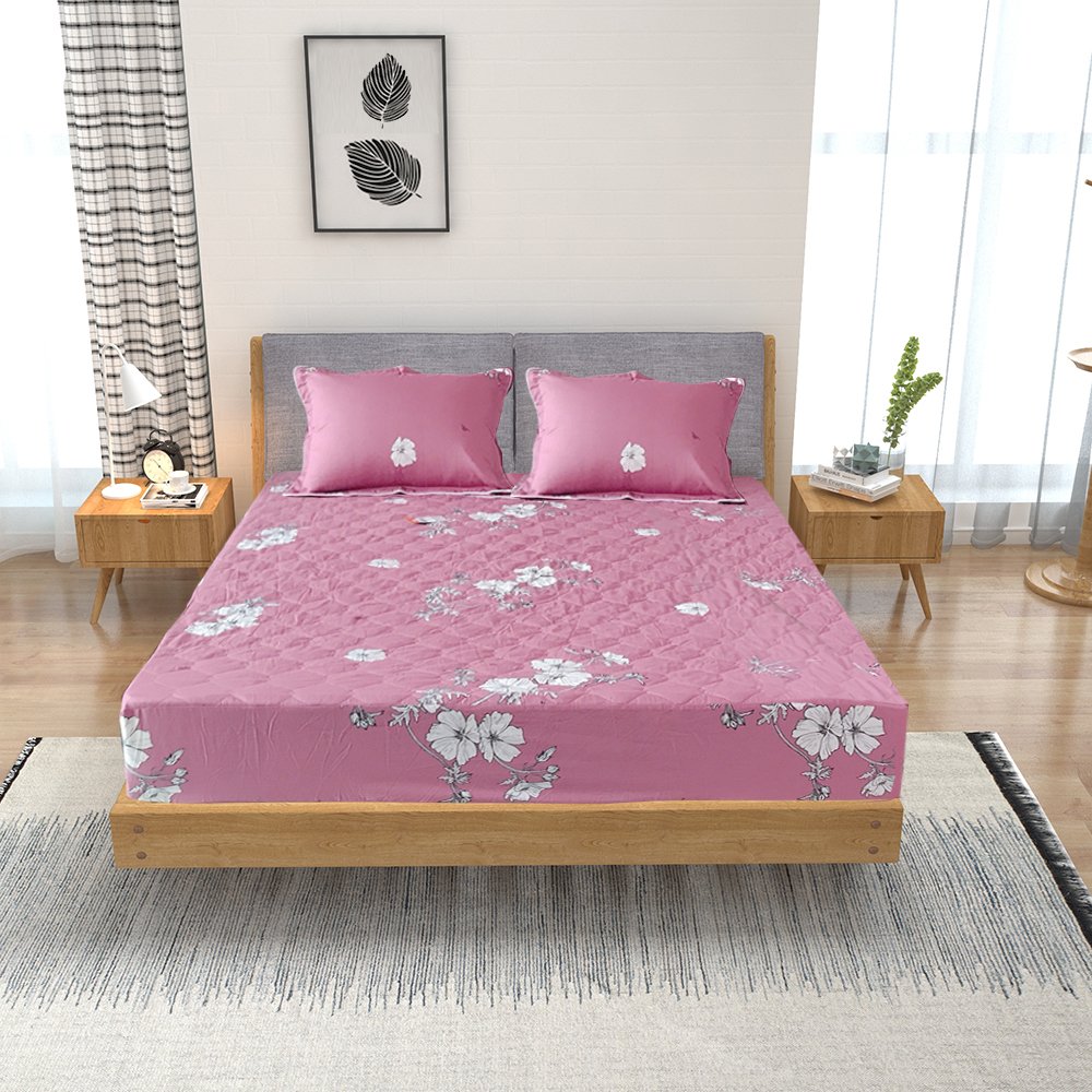 Bộ ga chun chần cotton Sông Hồng 200 cm x 220 cm