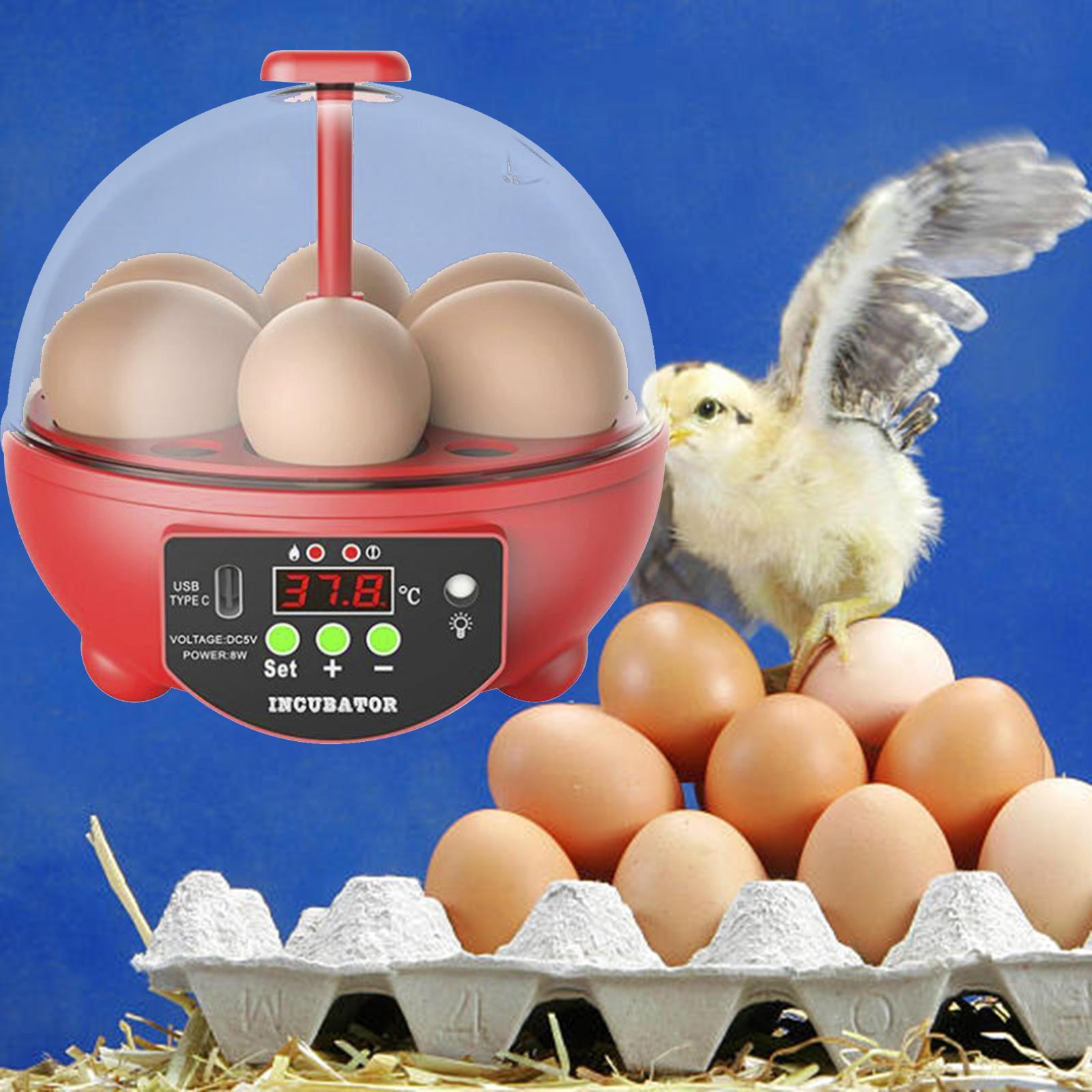 Egg Incubator Red Manual Red Manual