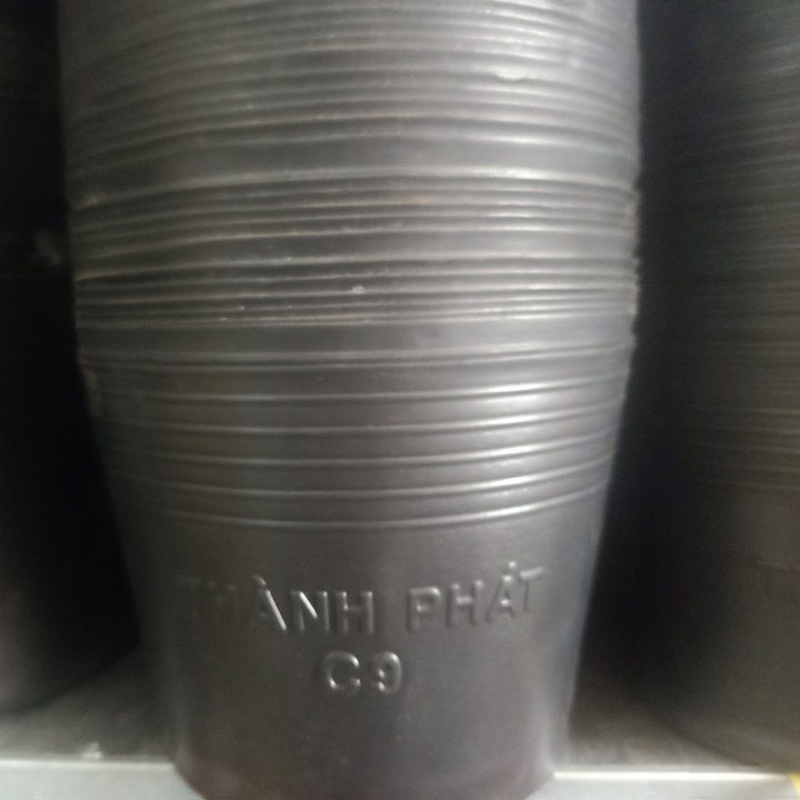 Chậu nhựa đen C9 220x170 50 chậu