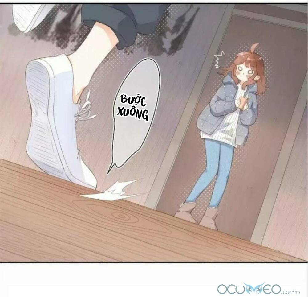 sos! tôi đã yêu một con sâu bướm (phần 2) chapter 17 15