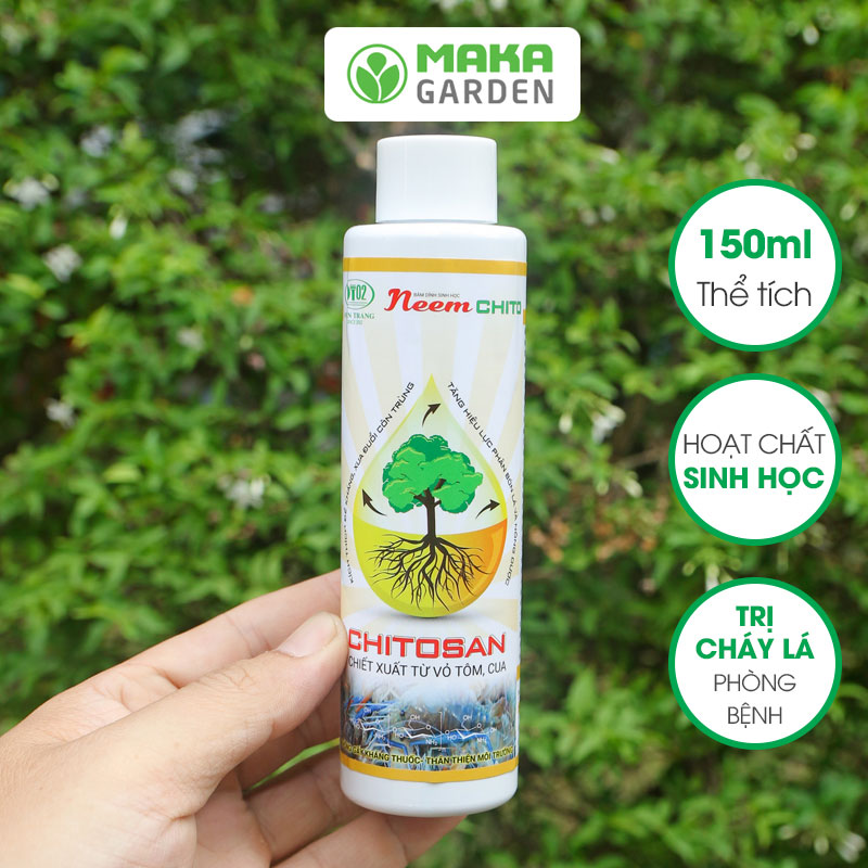 Thuốc đặc trị cháy lá, héo xanh, thối nhũn Neem Chito Điền Trang