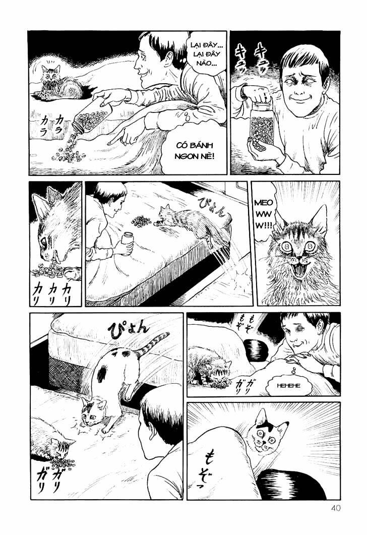 ito junji cat's diary chapter 4 6
